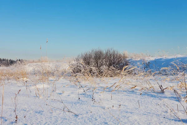 Winter Veld Onder Blauwe Hemel Natuur Achtergrond — Stockfoto