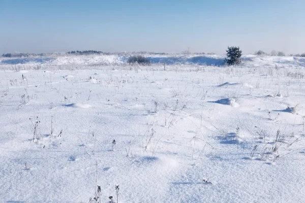 Zimní Pole Pod Modrou Oblohou Přírodní Pozadí — Stock fotografie