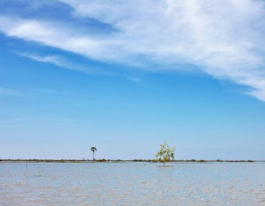 Tonle Sap Gölü, Kamboçya Siem Reap ilinde peyzaj