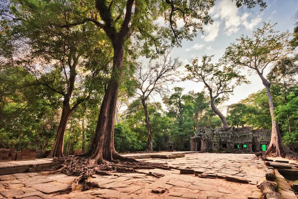 柬埔寨吴哥窟建筑群中的古代佛寺 — 图库照片