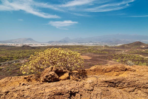 Panoramisch Uitzicht Vallei Heuvels Van Tenerife Canarische Eilanden Spanje — Stockfoto