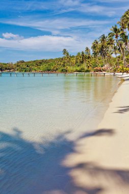 Deniz manzaralı güzel tropik plaj, temiz su ve mavi gökyüzü. Doğa arkaplanı