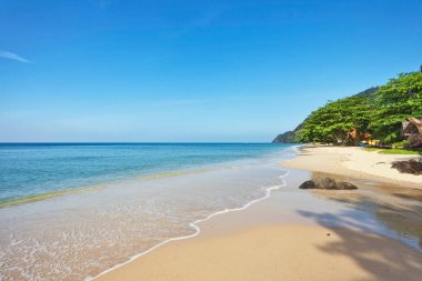 avuç mavi gökyüzü altında sahilde balıkgözü görünümü 