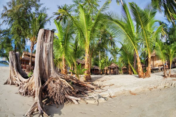 Billiga Bungalows För Backpackers Tropisk Strand Thailand — Stockfoto