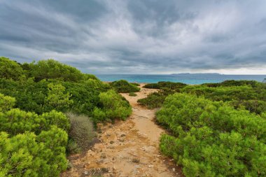 Kasvetli gökyüzü altında Cala Mesquida 'nın kumulları boyunca, Es Trenc plajı, ses Salines, Mallorca adası, İspanya Akdeniz, Balear Adaları.