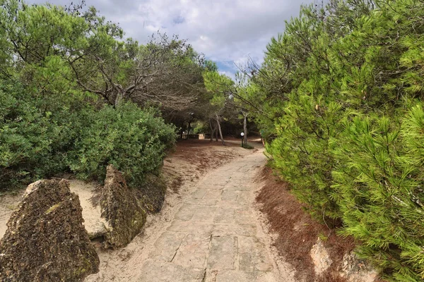 Caminho Pedestre Árvores Parque Sob Céu Sombrio Trenc Praia Ses — Fotografia de Stock