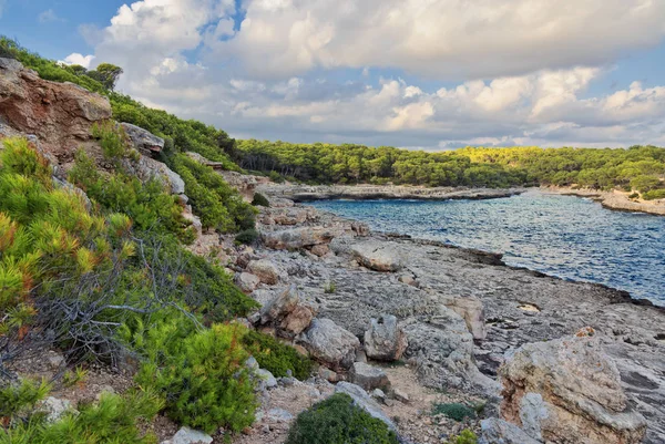 Belle Baie Plage Eau Mer Turquoise Île Majorque Espagne Mer — Photo