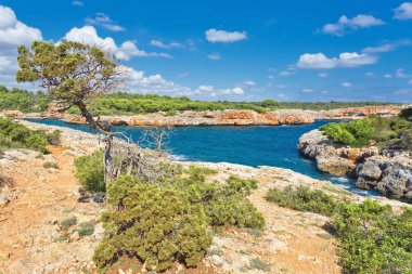 Güzel defne plaj turkuaz deniz suyu. Mallorca Adası, İspanya Akdeniz, Balear Adaları.