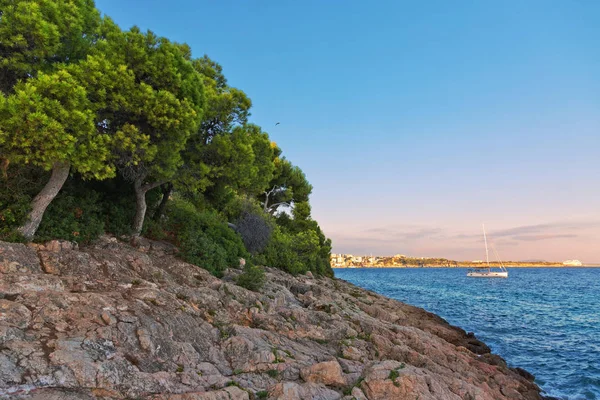 Árvores Rochas Costeiras Pôr Sol Ilha Maiorca Espanha Mar Mediterrâneo — Fotografia de Stock