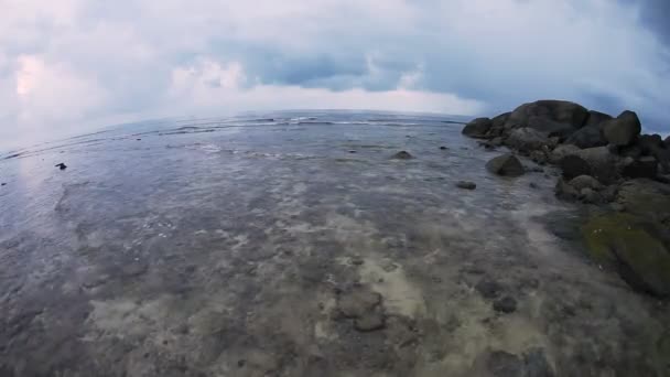 熱帯海ウンサー暗い空 魚眼の外観 動きの速い — ストック動画