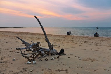 Güzel günbatımında tropik plajda eski ahşap çıkıntısı. Doğa geçmişi. Nai Yang plajı. Phuket. Tayland