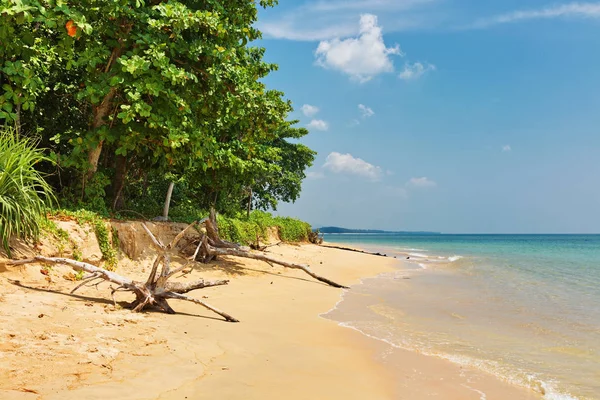 Hermosa Playa Tropical Con Vista Mar Agua Limpia Cielo Azul —  Fotos de Stock