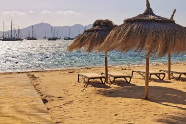 Boş şezlong ve şemsiyeleri sahilde Port de Pollenca, Mallorca, Balear Adaları, İspanya
