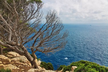 Manzara kasvetli dramatik gökyüzü (cape formentor) altında bir fırtına öncesi kayalık kıyılarının. Mallorca. Balear Adaları. İspanya