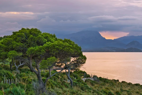 Krajina Západ Slunce Illot Bay Pollenca Blízkosti Alcudia Mallorca Baleárské — Stock fotografie