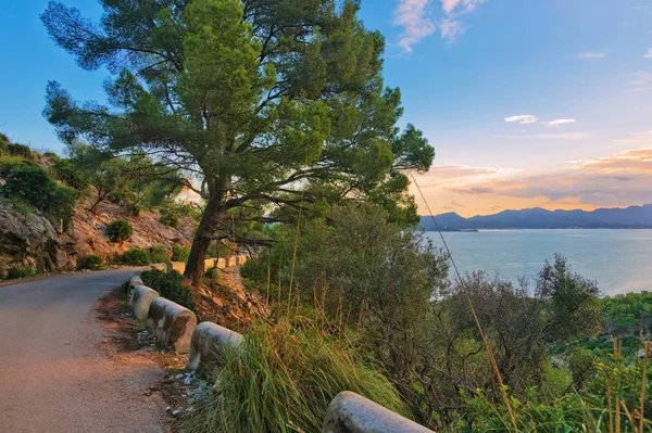 Landscape Sunset Illot Bay Pollenca Alcudia Mallorca Balearic Islands Spain — Stock Photo, Image