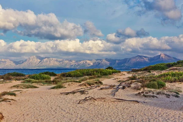 Zeekust Buurt Van Can Picafort Strand Zonsondergang Mallorca Balearen Spanje — Stockfoto