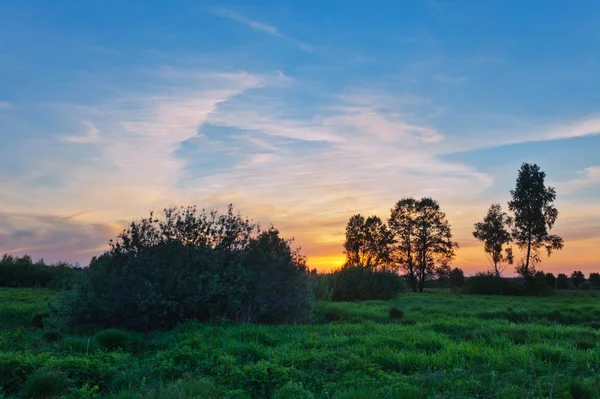 Пейзаж Цветным Закатом Летнем Поле — стоковое фото