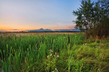 kuyrugu günbatımında bir alanda. Balıkgözü görünümü