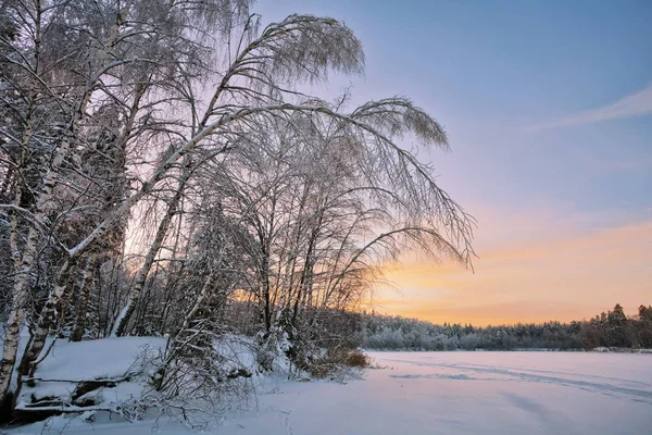 Winterlandschap Met Veld Bij Zonsondergang — Stockfoto