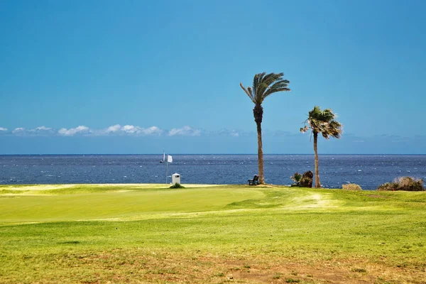 Vackra landskapet på en golfbana med palmer — Stockfoto