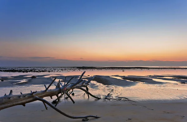 Тропічний пляж зі старим дерев'яним шипом на заході сонця — стокове фото