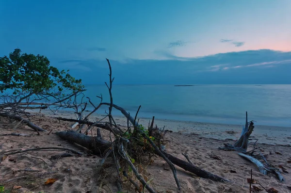 Tropisk strand med gamla trä hake vid solnedgången — Stockfoto
