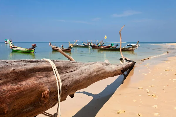 Egzotik tropik sahil yakınında Tay tekneler