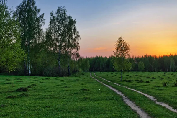 Strada in campo tramonto — Foto Stock