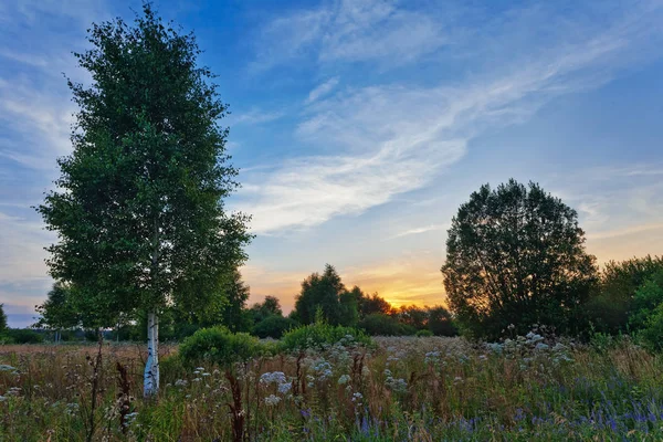 Pôr do sol no campo de verão — Fotografia de Stock