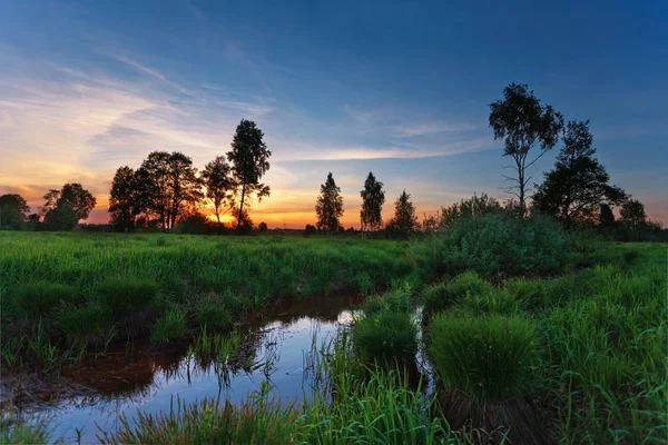 Liten flod i fältet — Stockfoto