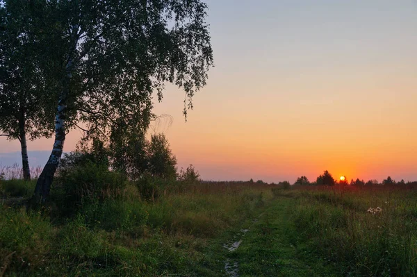 Puesta de sol en el campo de verano — Foto de Stock