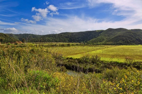 Bela paisagem com um vale verde e um pequeno rio surrou — Fotografia de Stock