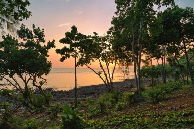 kasvetli tropikal günbatımı