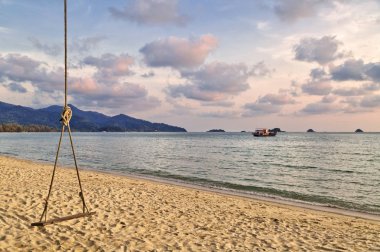 wooden swing hang from a tree on a beach and sunset 