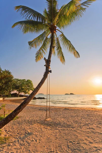 Gün batımında palmiye ağaçları ve salıncak ile bir plaj manzarası — Stok fotoğraf