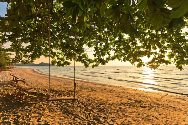 Wooden swing hang from a tree on a beach and sunset — Stockfoto