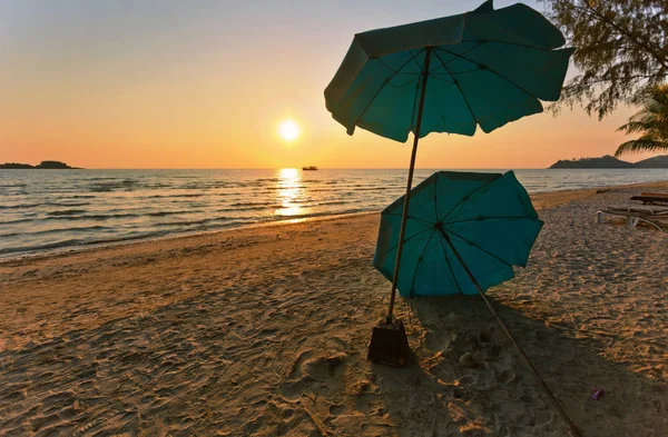 나무의 자 및 우산 모래 해변에 — 스톡 사진