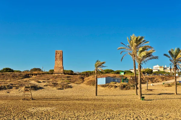 Palm trees and ancient stone tower on Cabopino beach. Coastline 