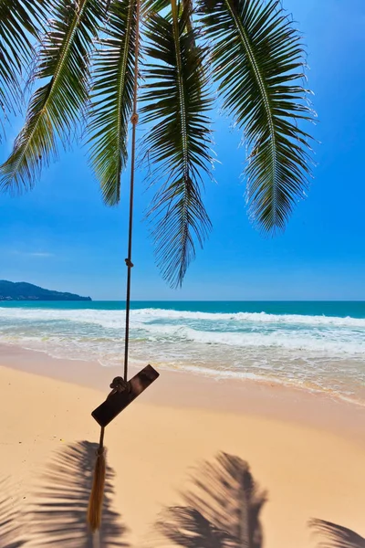 Balanços e palma na praia de areia . — Fotografia de Stock