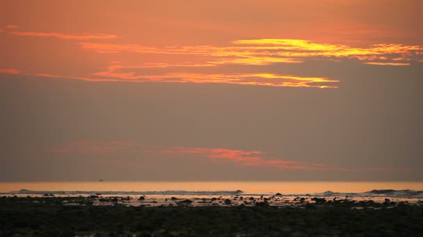 熱帯のビーチに沈む夕日 自然の背景 ナイヤン ビーチ プーケット — ストック動画