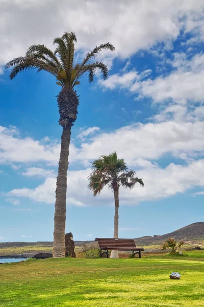 美丽的风景高尔夫球场与棕榈树 — 图库照片