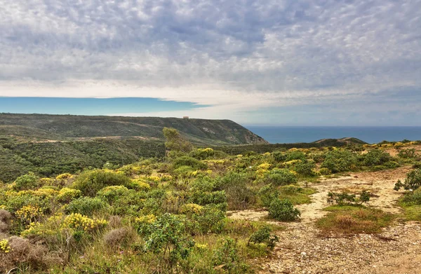 Landschap met bergen, vallei en Oceaan op de achtergrond — Stockfoto