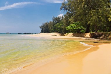 Egzotik tropikal plaj.