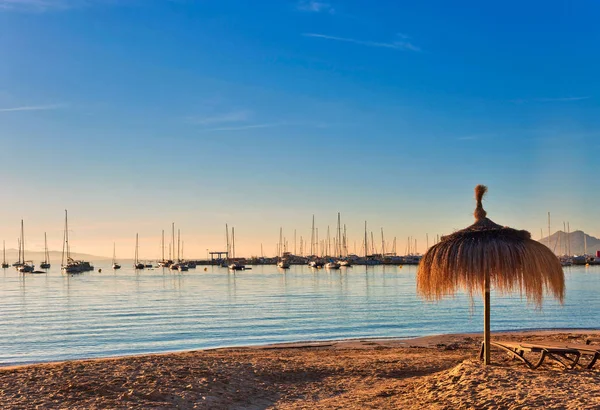 Chaises longues et parasols vides sur la plage de Port de Pollenca — Photo