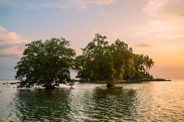 Tropisches Meer Bei Schönem Sonnenuntergang Mit Bäumen Wasser Hintergrund Natur — Stockfoto