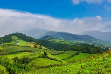 Yeşil tepe vadisi Sao Miguel adası Azores, Portekiz