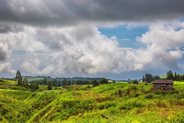 Пейзаж Зеленой Холмистой Долины Острова Сан Мигель Азорских Островов Португалия — стоковое фото