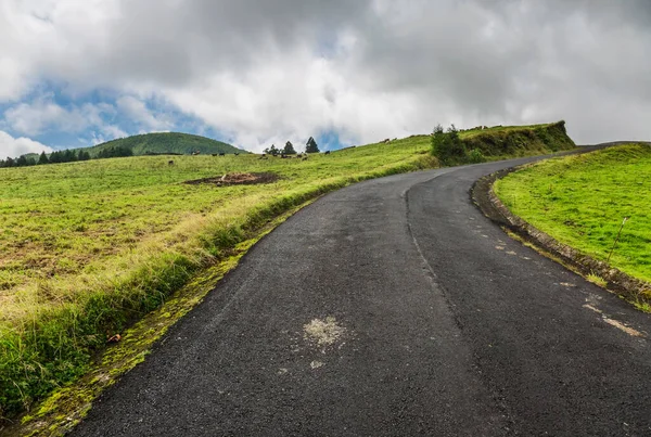 Δρόμος Οδηγεί Μέσα Από Καταπράσινους Λόφους Τοπίο Στο Νησί Του — Φωτογραφία Αρχείου