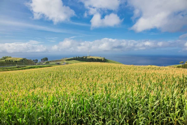 Panorama View Mountains Valleys Sea Coastline Sao Miguel Island Azores — Stock Photo, Image